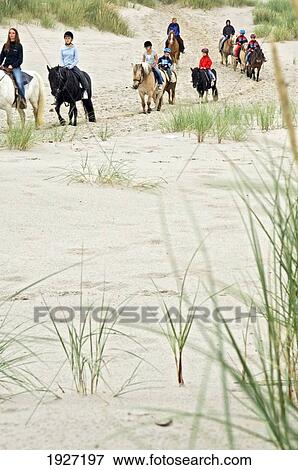 Stock Photo - Children At Riding Horses At The Ridecenter Vinterlejegaard Situated In A Dune Landscape On The Isthmus Holmsland Klit, West Jutland Denmark. Fotosearch