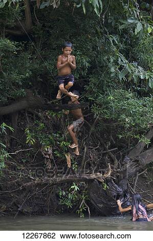 Children jumping out of tree into a river; Mondulkiri, Cambodia View Large Photo Image Stock Image - Children jumping out of tree into a river; Mondulkiri, Cambodia. Fotosearch