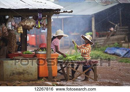 Stock Photograph - Children sorting vegetables in the rain; Mondulkiri, Cambodia. Fotosearch