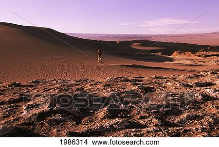 Chile, Atacama Desert, Hiker walking across sand dune; Valley of the Moon View Large Photo Image Picture - Chile, Atacama Desert, Hiker walking across sand dune; Valley of the Moon. Fotosearch