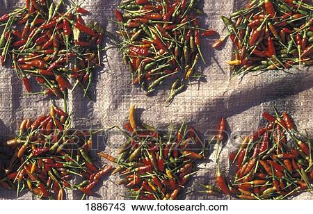 Stock Image - Chilies In Market, Close Up. Fotosearch