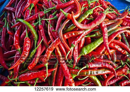 Stock Photo - Chillies in local market; Bandar Seri Begawan, Darassalam, Brunei. Fotosearch