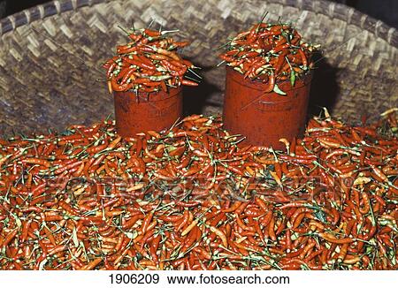Stock Photo - Chillies, Menado Main Market (Pasar Bersahati), Menado, North Sulawesi, Molluccas (Maluka), Indonesia. Fotosearch