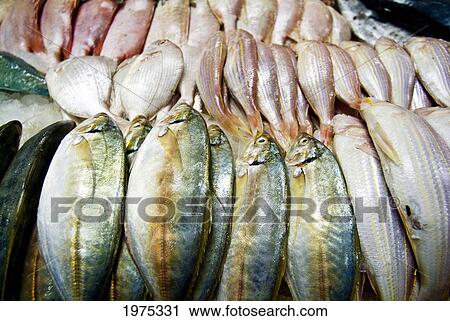 Stock Image - China, Beijing, Fish For Sale At Hongqiao Market.. Fotosearch