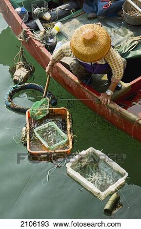 Stock Image - China, fishing port of Saikung; Hong Kong, Fisherman in boat. Fotosearch