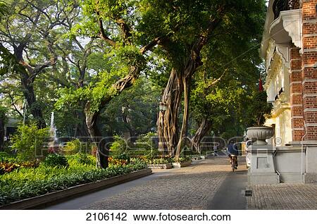 Stock Image - China, Guangdong, Shamian Island; Guangzhou, Park. Fotosearch