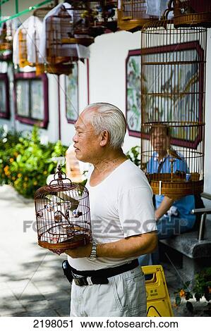 China, Hong Kong, and man holding cage; Kowloon, Bird market. birds in ornate cages for sale View Large Photo Image Stock Image - China, Hong Kong, and man holding cage; Kowloon, Bird market. birds in ornate cages for sale. Fotosearch