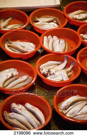 China, Hong Kong, Fresh fish at Mong Kok covered market; Kowloon View Large Photo Image Stock Photograph - China, Hong Kong, Fresh fish at Mong Kok covered market; Kowloon. Fotosearch