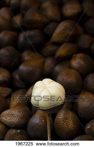 Stock Photography - China, Hong Kong, Mong Kok, Snake Fruit For Sale.. Fotosearch
