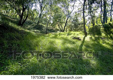 Stock Image - China, The Summer Palace; Beijing, Landscape Of Frangrant Hills Park. Fotosearch