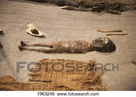 Chinchorro Mummy Of A Baby On Display At The San Miguel De Azapa Archaeological Museum, Arica And Parinacota Region, Chile View Large Photo Image Stock Photo - Chinchorro Mummy Of A Baby On Display At The San Miguel De Azapa Archaeological Museum, Arica And Parinacota Region, Chile. Fotosearch