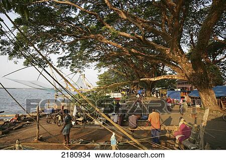 Chinese fishing nets, Fort Cochin; Kochi, Kerala, India View Large Photo Image Picture - Chinese fishing nets, Fort Cochin; Kochi, Kerala, India. Fotosearch