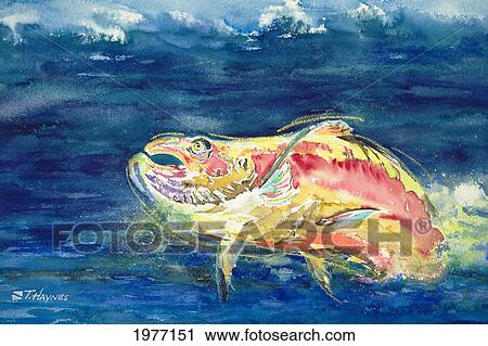 Stock Image - Chinook Salmon, Fish Leaping From Ocean Water, View From Side (Watercolor On Canvas).. Fotosearch