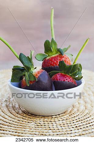Chocolate covered strawberries in a bowl; Oahu, Hawaii, United States of America View Large Photo Image Stock Photography - Chocolate covered strawberries in a bowl; Oahu, Hawaii, United States of America. Fotosearch