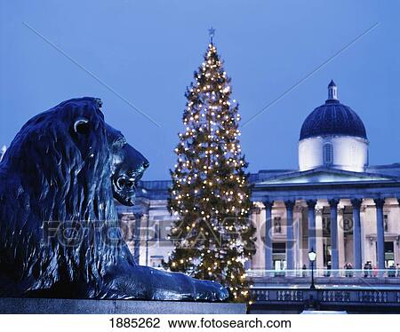 Stock Image - Christmas Tree And National Gallery At Dusk. Fotosearch