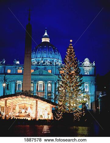 Stock Photo - Christmas Tree And St Peter's Basilica. Fotosearch