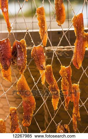 Stock Photography - Chum salmon roe drying in a Smoke house, Kobuk, Arctic Alaska, Summer. Fotosearch
