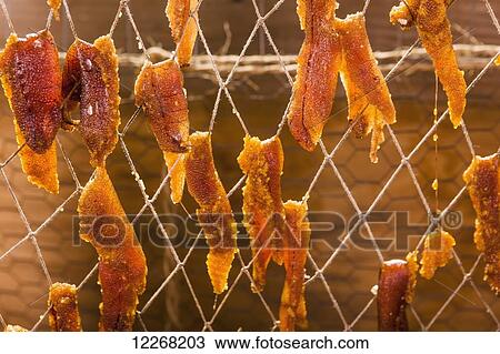 Chum salmon roe hanging to dry in the sun in a smoke house, Kobuk, Arctic Alaska, summer View Large Photo Image Stock Image - Chum salmon roe hanging to dry in the sun in a smoke house, Kobuk, Arctic Alaska, summer. Fotosearch