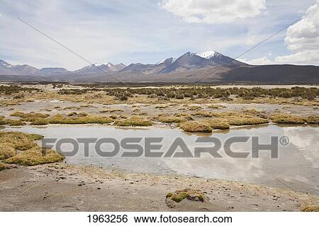 Stock Photograph - Chungara Lake And Nevados De Payachata (Pomerape Volcano And Parinacota Volcano), Lauca National Park, Arica And Parinacota Region, Chile. Fotosearch