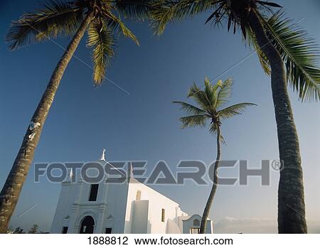 Church Of Santo Antonio Beneath Palm Trees, Low Angle View View Large Photo Image Stock Image - Church Of Santo Antonio Beneath Palm Trees, Low Angle View. Fotosearch