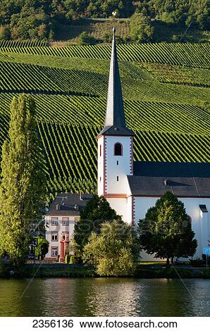 Stock Photograph - Church on the water's edge and a vineyard in Mosel valley; Piesport, Rhineland-Palatinate, Germany. Fotosearch