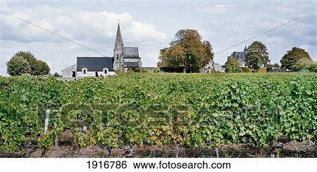 Stock Photograph - Church With Vineyard. Fotosearch