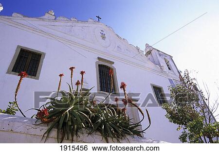 Stock Photograph - Church's Facade With Aloe Flower. Fotosearch