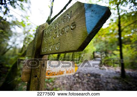 Stock Image - Circular walk near The Tarr Steps, a prehistoric clapper bridge across the River Barle in the Exmoor National Park; Somerset, England. Fotosearch