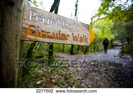 Stock Image - Circular walk near The Tarr Steps, a prehistoric clapper bridge across the River Barle in the Exmoor National Park; Somerset, England. Fotosearch