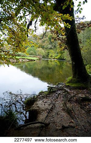 Circular walk near The Tarr Steps, a prehistoric clapper bridge across the River Barle in the Exmoor National Park; Somerset, England View Large Photo Image Stock Photo - Circular walk near The Tarr Steps, a prehistoric clapper bridge across the River Barle in the Exmoor National Park; Somerset, England. Fotosearch
