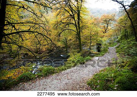Stock Photography - Circular walk near The Tarr Steps, a prehistoric clapper bridge across the River Barle in the Exmoor National Park; Somerset, England. Fotosearch