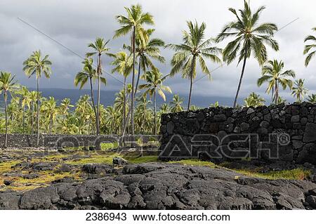 City of Refuge National Historical Park; Island of Hawaii, Hawaii, United States of America View Large Photo Image Stock Image - City of Refuge National Historical Park; Island of Hawaii, Hawaii, United States of America. Fotosearch