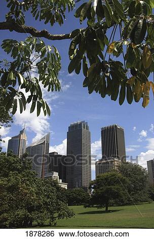 Stock Photograph - City Skyline As Seen From Botanical Garden. Fotosearch
