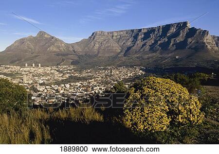 Stock Image - Cityscape At Foot Of Table Mountain. Fotosearch