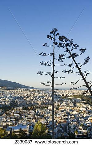 Stock Photo - Cityscape View Of Athens At Sunrise With Trees In Foreground; Athens, Greece. Fotosearch