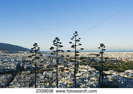 Cityscape View Of Athens At Sunrise With Trees In Foreground; Athens, Greece View Large Photo Image Stock Photo - Cityscape View Of Athens At Sunrise With Trees In Foreground; Athens, Greece. Fotosearch