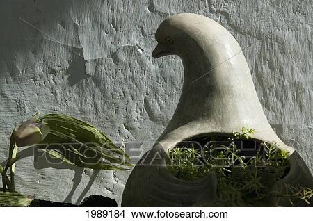 Picture - Clay Pigeon, Parador Santa Maria Museum, Chiapas, Mexico. Fotosearch