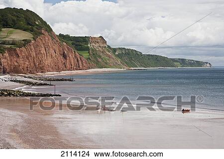 Picture - Cliffs Along The Coast East Of Sidmouth; Devon England. Fotosearch