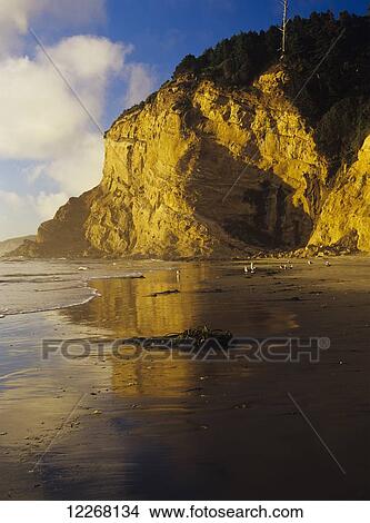 Picture - Cliffs along the Oregon coast; Oregon, United States of America. Fotosearch