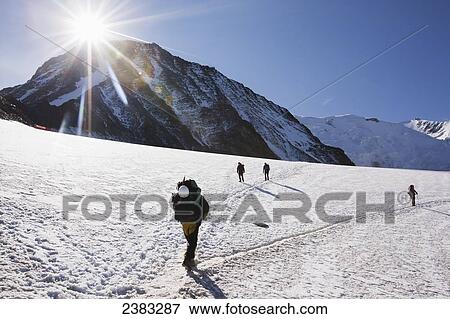 Stock Photo - Climbing Mont Blanc mountain, one of the most popular climbs in the Alps, and highest in western Europe, near Tete Rousse hut; France. Fotosearch