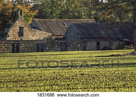 Clonroche County Wexford Ireland Traditional Irish Cottages