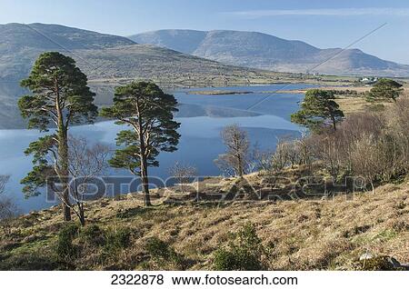 Stock Photo - Cloonaghlin Lough; Iveragh Peninsula, County Kerry, Ireland, UK. Fotosearch