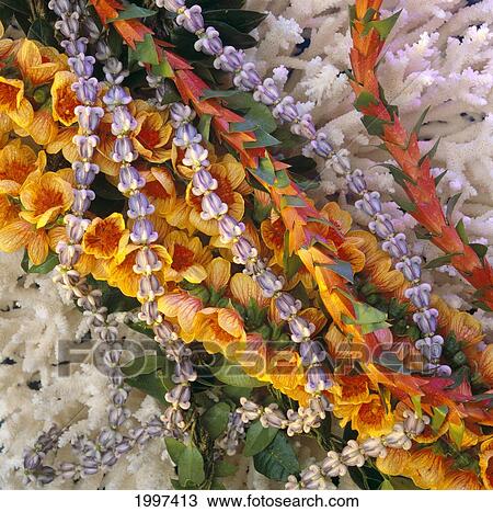 Close Crop Of Colorful Leis On White Coral Studio Shot, Overlapping A22E View Large Photo Image Stock Image - Close Crop Of Colorful Leis On White Coral Studio Shot, Overlapping A22E. Fotosearch