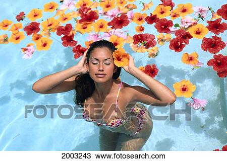 Close-Up Angle From Above Of Woman In Pool With Hibiscus Flowers, Eyes Closed View Large Photo Image Stock Image - Close-Up Angle From Above Of Woman In Pool With Hibiscus Flowers, Eyes Closed. Fotosearch