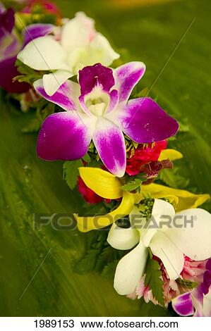 Stock Image - Close-Up Detail Of A Vibrant Colored Lei Made With Tropical Flowers. Fotosearch
