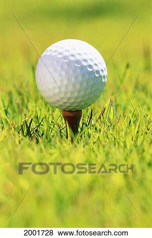 Stock Photo - Close-Up Golf Ball On Tee. Fotosearch