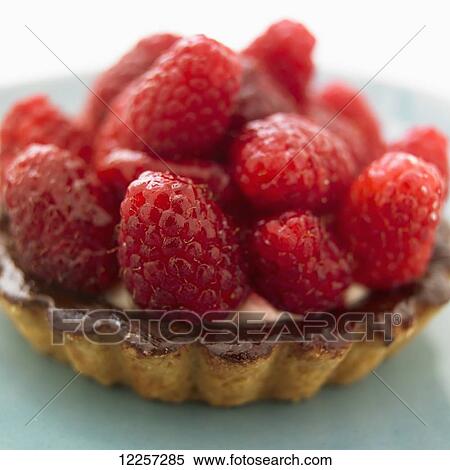 Stock Photography - Close up of a raspberry tart on a teal plate; Victoria, British Columbia, Canada. Fotosearch