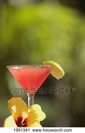 Close-Up Of A Refreshing Tropical Cocktail View Large Photo Image Stock Image - Close-Up Of A Refreshing Tropical Cocktail. Fotosearch