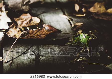 Stock Image - Close-Up Of Autumn Leaves On A Wood Deck In Morning Light; Otterburn Park Quebec Canada. Fotosearch