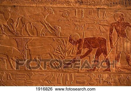 Close Up Of Bas Relief Of Mastaba, Ivth Dynasty View Large Photo Image Stock Photograph - Close Up Of Bas Relief Of Mastaba, Ivth Dynasty. Fotosearch